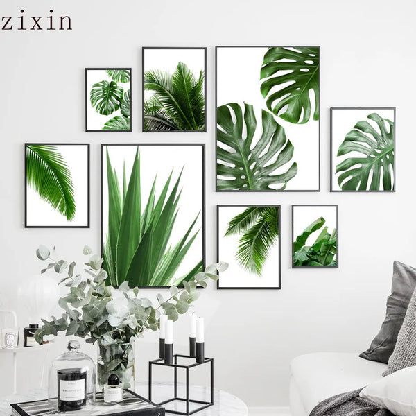 Green Plant Monstera Wall Pictures